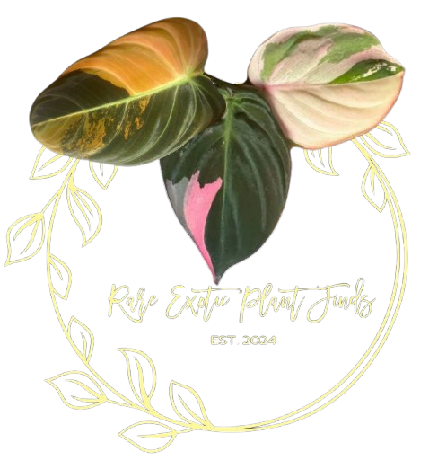 Rare Exotic Plant Finds